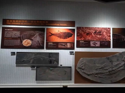 滑軌屏展示系統(tǒng)